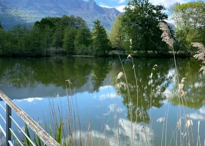 Joya - Calme En Hypercentre - Proche Des Thermes *